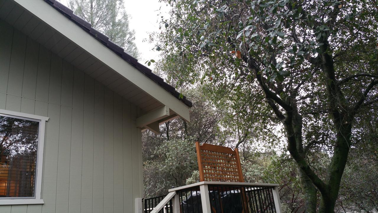 Lovely Mountain Lake Chalet By Yosemite: Equipped! Groveland Kültér fotó